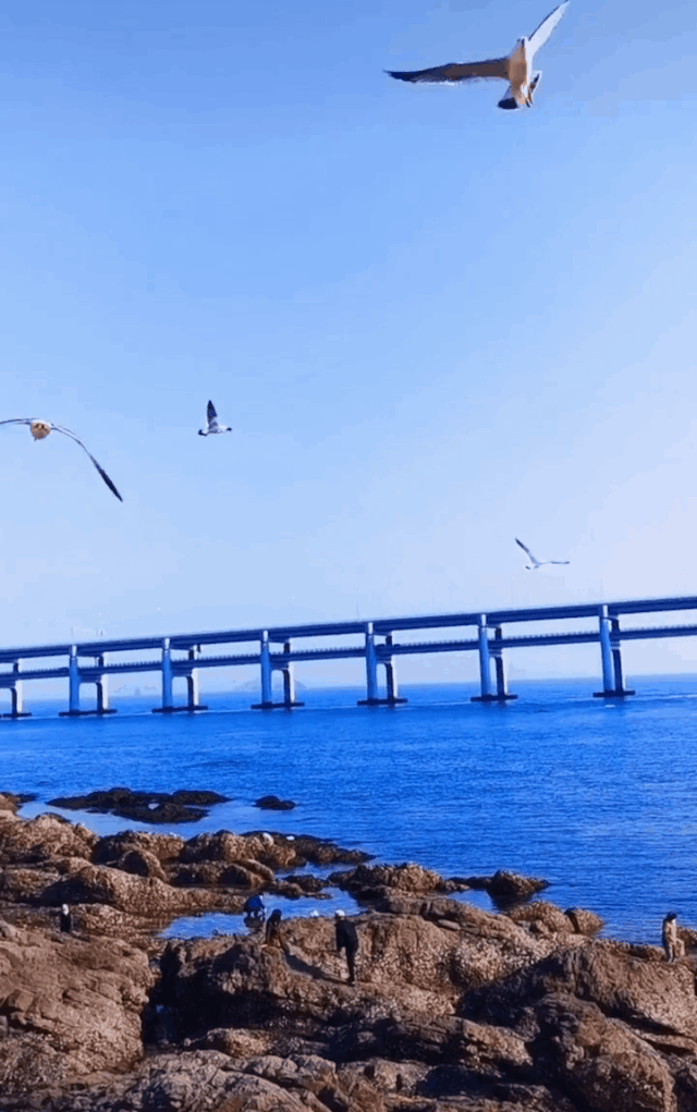 暂停！多地已发出通知！国庆不旅游的老人，恭喜你！还有这些，又全又免费....休闲区蓝鸢梦想 - Www.slyday.coM