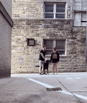 男女主人分开跑，边牧会选择跟谁？噗哈哈哈哈哈这也太难为狗了！休闲区蓝鸢梦想 - Www.slyday.coM