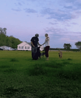 男女主人分开跑，边牧会选择跟谁？噗哈哈哈哈哈这也太难为狗了！休闲区蓝鸢梦想 - Www.slyday.coM