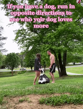 男女主人分开跑，边牧会选择跟谁？噗哈哈哈哈哈这也太难为狗了！休闲区蓝鸢梦想 - Www.slyday.coM