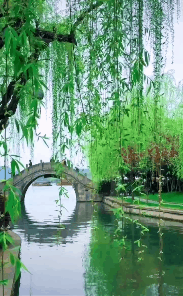 暂停！多地已发出通知！国庆不旅游的老人，恭喜你！还有这些，又全又免费....休闲区蓝鸢梦想 - Www.slyday.coM