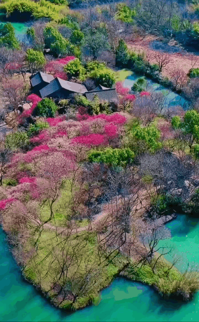 暂停！多地已发出通知！国庆不旅游的老人，恭喜你！还有这些，又全又免费....休闲区蓝鸢梦想 - Www.slyday.coM