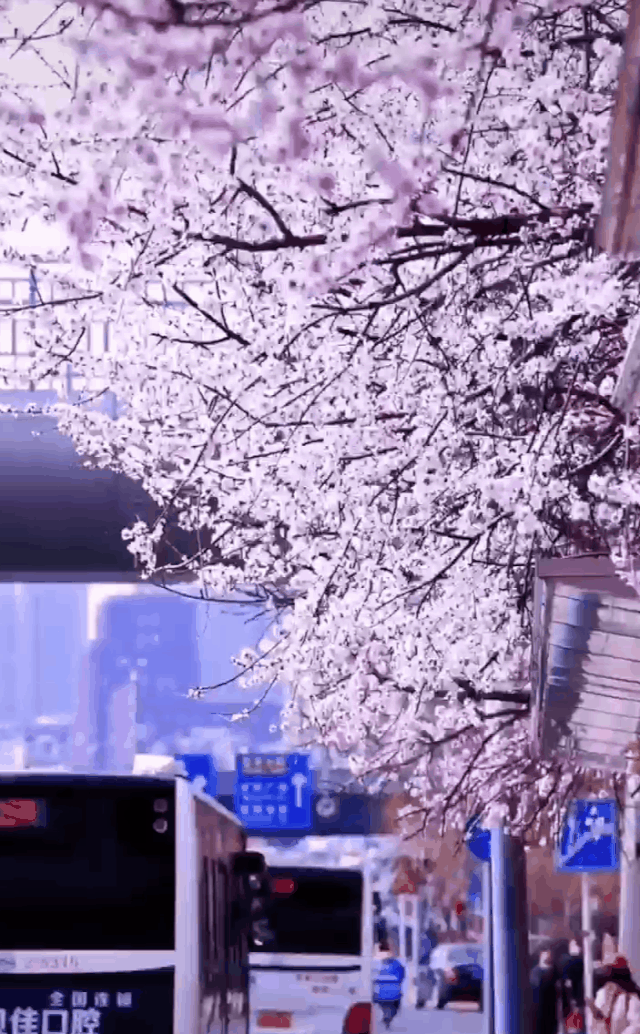 暂停！多地已发出通知！国庆不旅游的老人，恭喜你！还有这些，又全又免费....休闲区蓝鸢梦想 - Www.slyday.coM