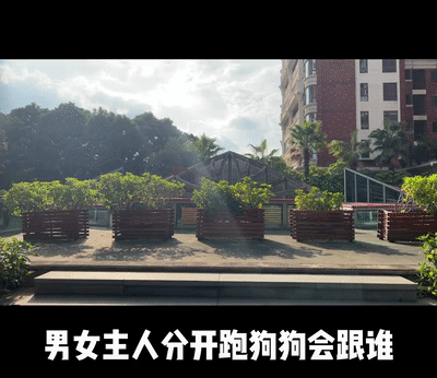 男女主人分开跑，边牧会选择跟谁？噗哈哈哈哈哈这也太难为狗了！休闲区蓝鸢梦想 - Www.slyday.coM