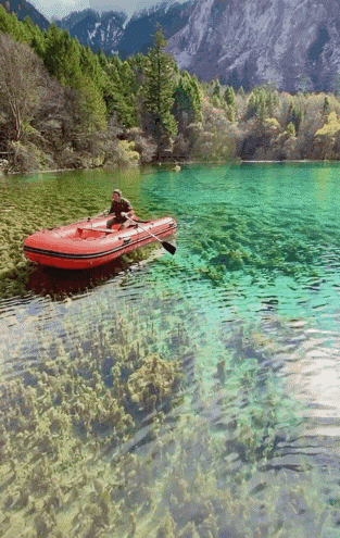 暂停！多地已发出通知！国庆不旅游的老人，恭喜你！还有这些，又全又免费....休闲区蓝鸢梦想 - Www.slyday.coM