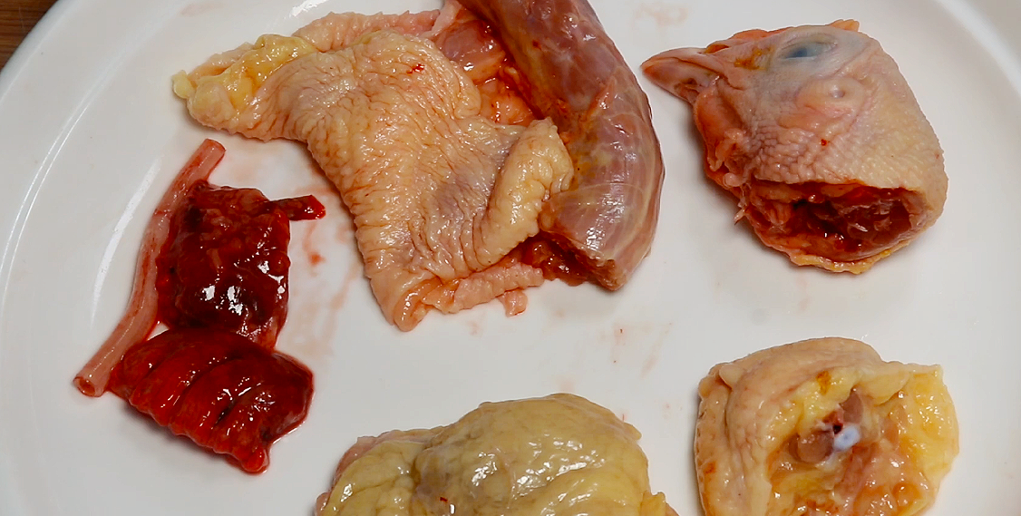 鸡的4个部位毒素最强,不要随便吃!__财经头条