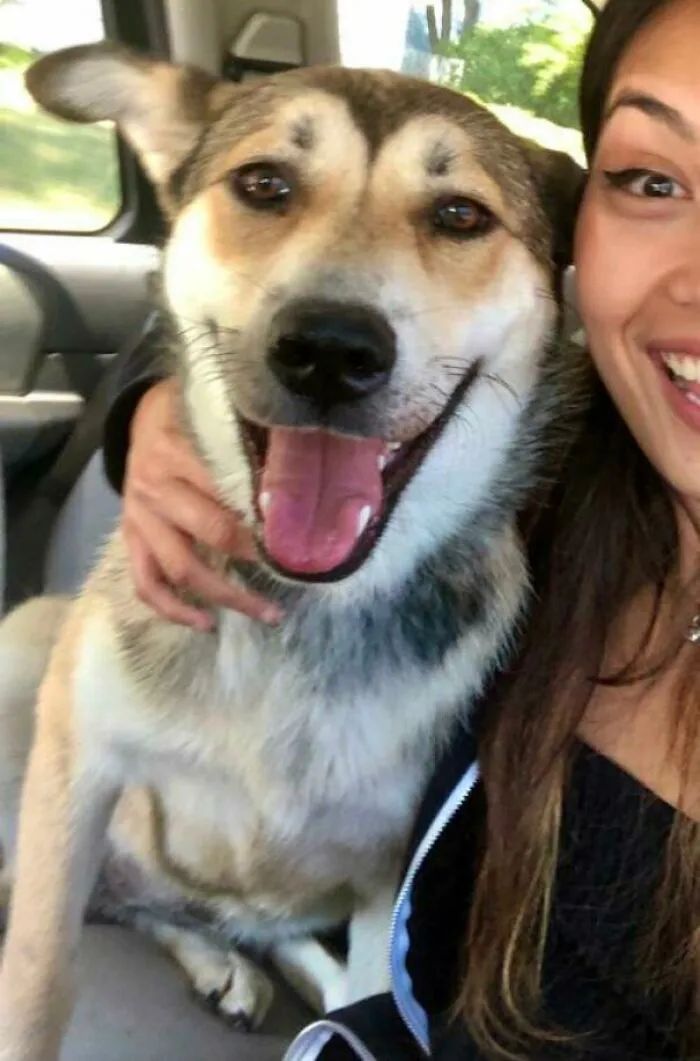 狗狗截肢后被领养，看到新主人的那刻，网友们泪目了！休闲区蓝鸢梦想 - Www.slyday.coM