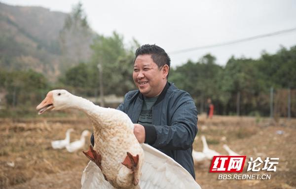 舌尖上的稻田！假期的最后一天，看看抓稻花鱼的苗乡妹子有多快乐休闲区蓝鸢梦想 - Www.slyday.coM