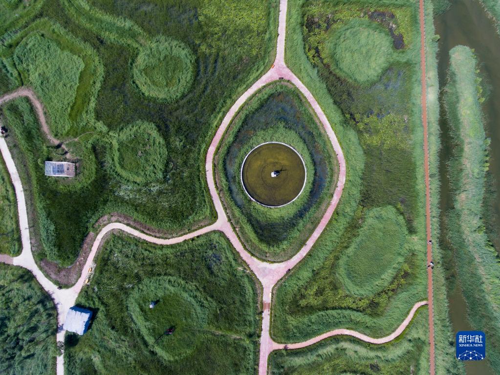 江河奔腾看中国丨海河流域：绿色发展 和谐共生休闲区蓝鸢梦想 - Www.slyday.coM