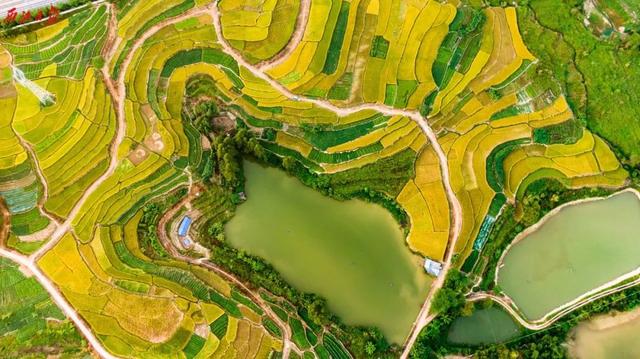 美醉了！肇庆最美秋色陆续上线，惊艳的风景都在这里了休闲区蓝鸢梦想 - Www.slyday.coM