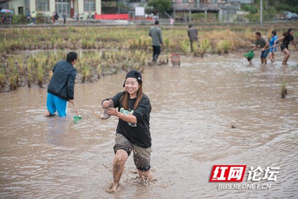 舌尖上的稻田！假期的最后一天，看看抓稻花鱼的苗乡妹子有多快乐休闲区蓝鸢梦想 - Www.slyday.coM