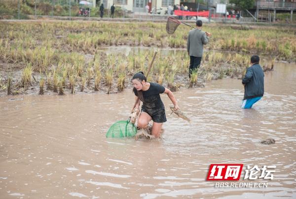 舌尖上的稻田！假期的最后一天，看看抓稻花鱼的苗乡妹子有多快乐休闲区蓝鸢梦想 - Www.slyday.coM