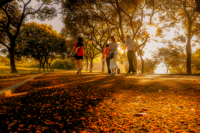 美醉了！肇庆最美秋色陆续上线，惊艳的风景都在这里了休闲区蓝鸢梦想 - Www.slyday.coM