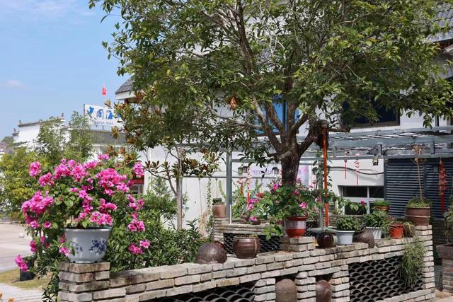 江河奔腾看中国｜福建泰宁：省级贫困村靠旅游变身“首富村”休闲区蓝鸢梦想 - Www.slyday.coM