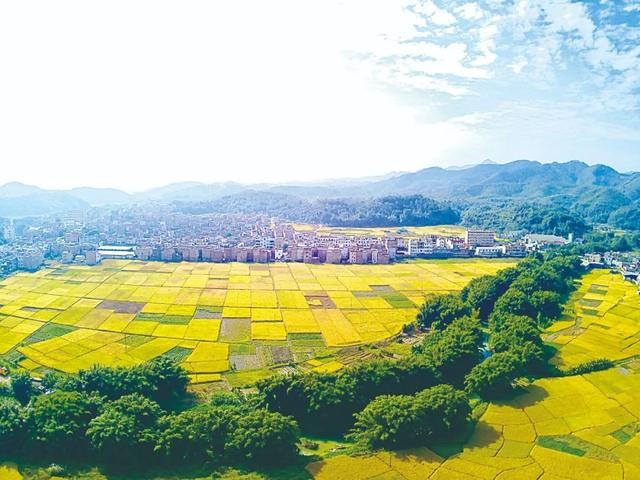 美醉了！肇庆最美秋色陆续上线，惊艳的风景都在这里了休闲区蓝鸢梦想 - Www.slyday.coM