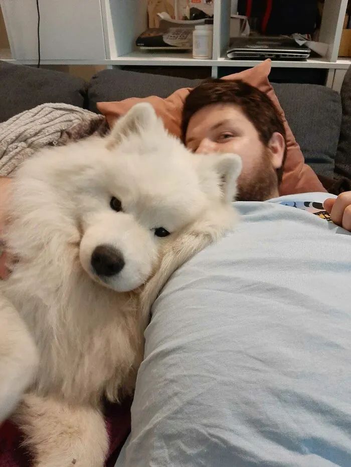 狗狗截肢后被领养，看到新主人的那刻，网友们泪目了！休闲区蓝鸢梦想 - Www.slyday.coM