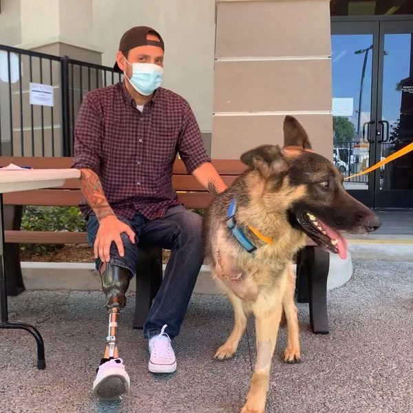 狗狗截肢后被领养，看到新主人的那刻，网友们泪目了！休闲区蓝鸢梦想 - Www.slyday.coM