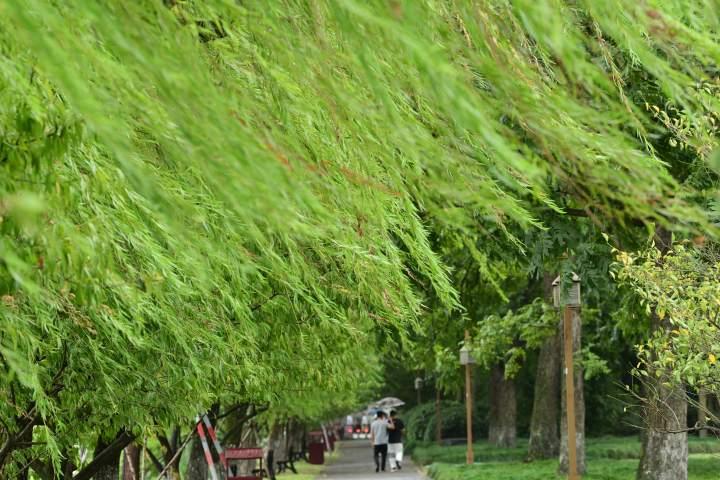 新一轮冷空气靠近，最低8℃，冷到穿秋裤，美好的秋天去哪里了？休闲区蓝鸢梦想 - Www.slyday.coM