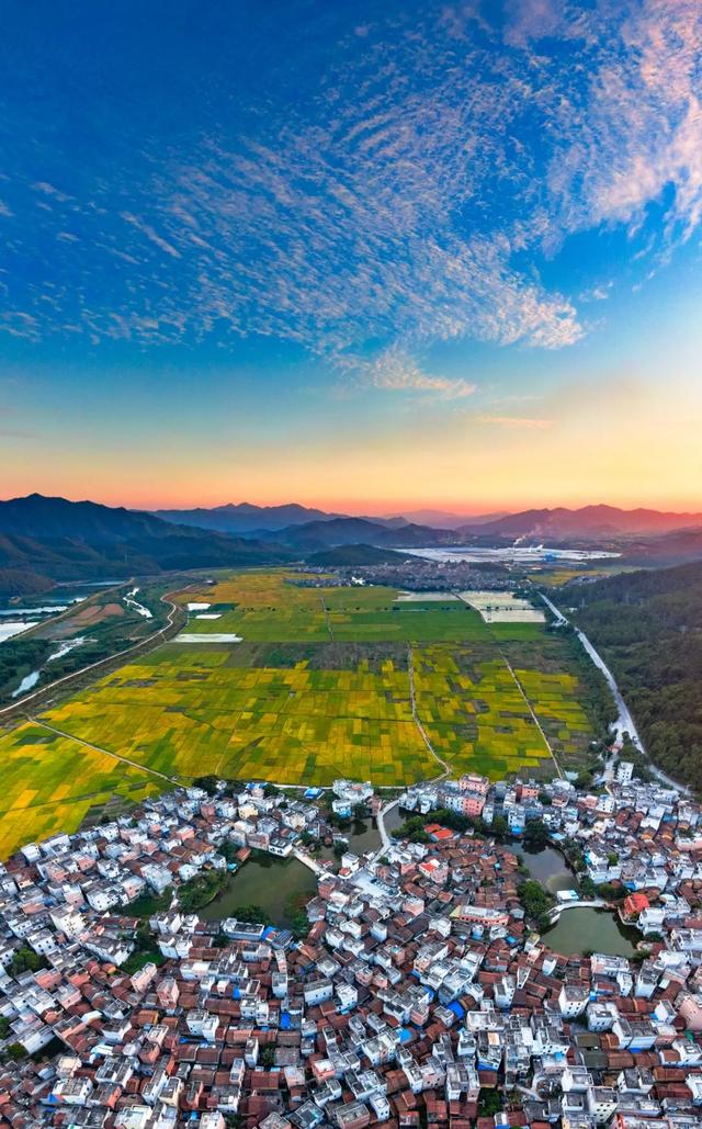 美醉了！肇庆最美秋色陆续上线，惊艳的风景都在这里了休闲区蓝鸢梦想 - Www.slyday.coM