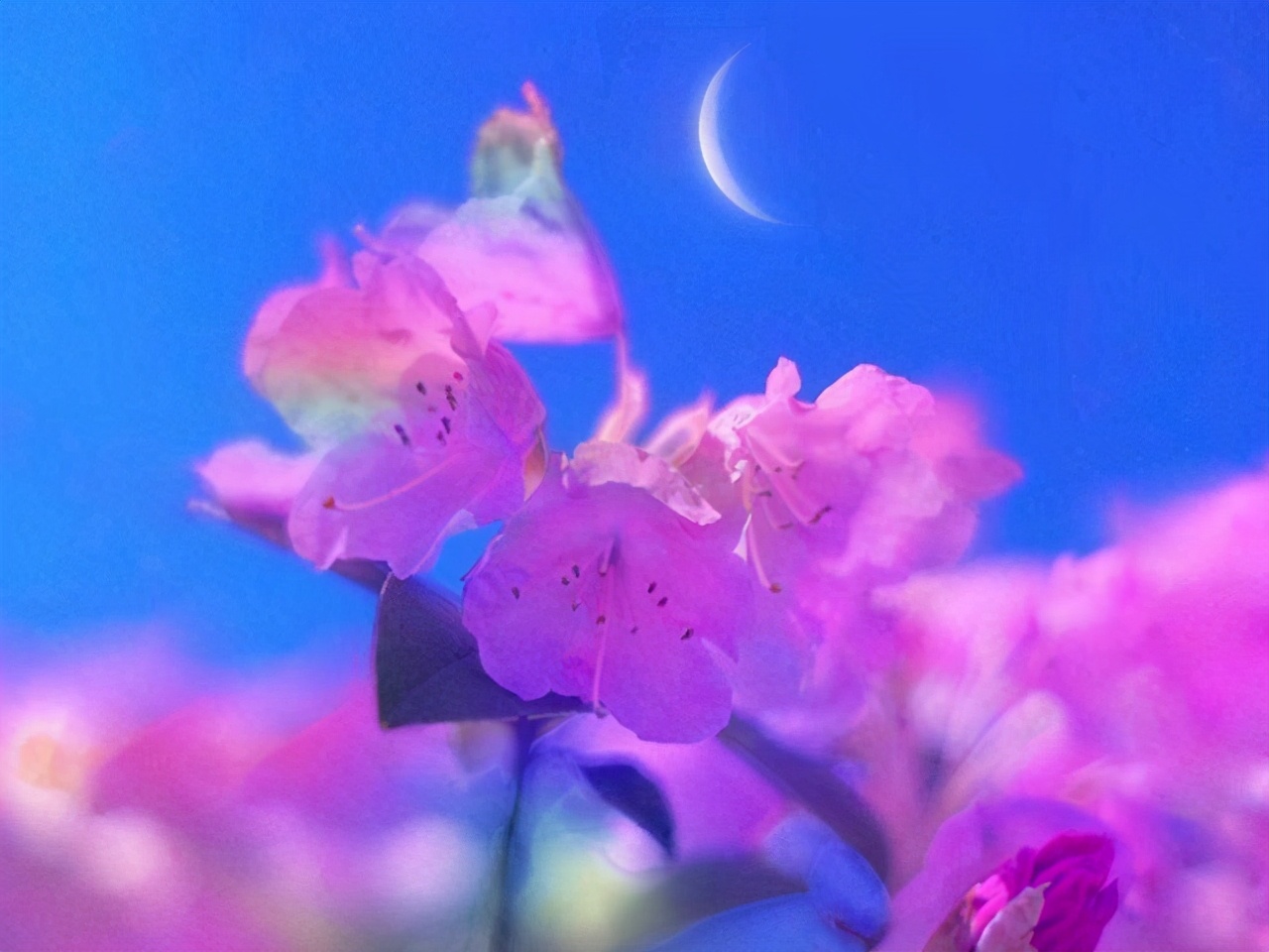 怎样去判断一个人爱不爱你?其实根就没有我们想象的那么复杂休闲区蓝鸢梦想 - Www.slyday.coM 怎样去判断一个人爱不爱你?其实根就没有我们想象的那么复杂休闲区蓝鸢梦想 - Www.slyday.coM