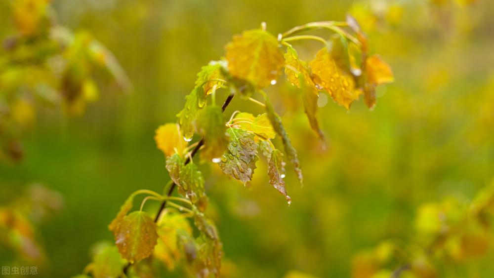 异性相处,若是真的爱你,会有这三种感觉,错不了休闲区蓝鸢梦想 - Www.slyday.coM 异性相处,若是真的爱你,会有这三种感觉,错不了休闲区蓝鸢梦想 - Www.slyday.coM