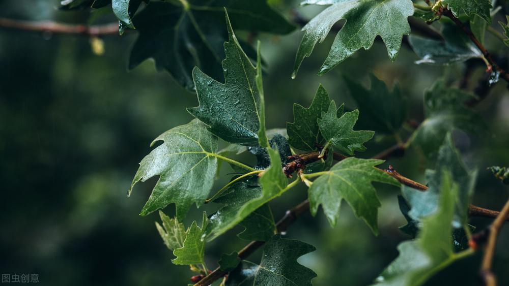 异性相处,若是真的爱你,会有这三种感觉,错不了休闲区蓝鸢梦想 - Www.slyday.coM 异性相处,若是真的爱你,会有这三种感觉,错不了休闲区蓝鸢梦想 - Www.slyday.coM