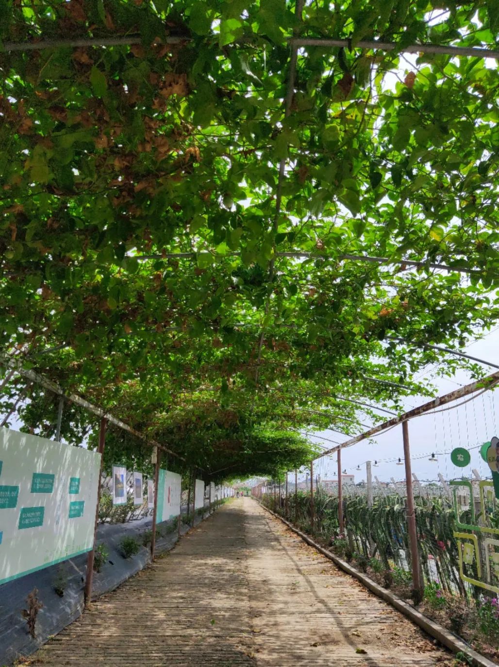 乐享旅程休闲区蓝鸢梦想 - Www.slyday.coM