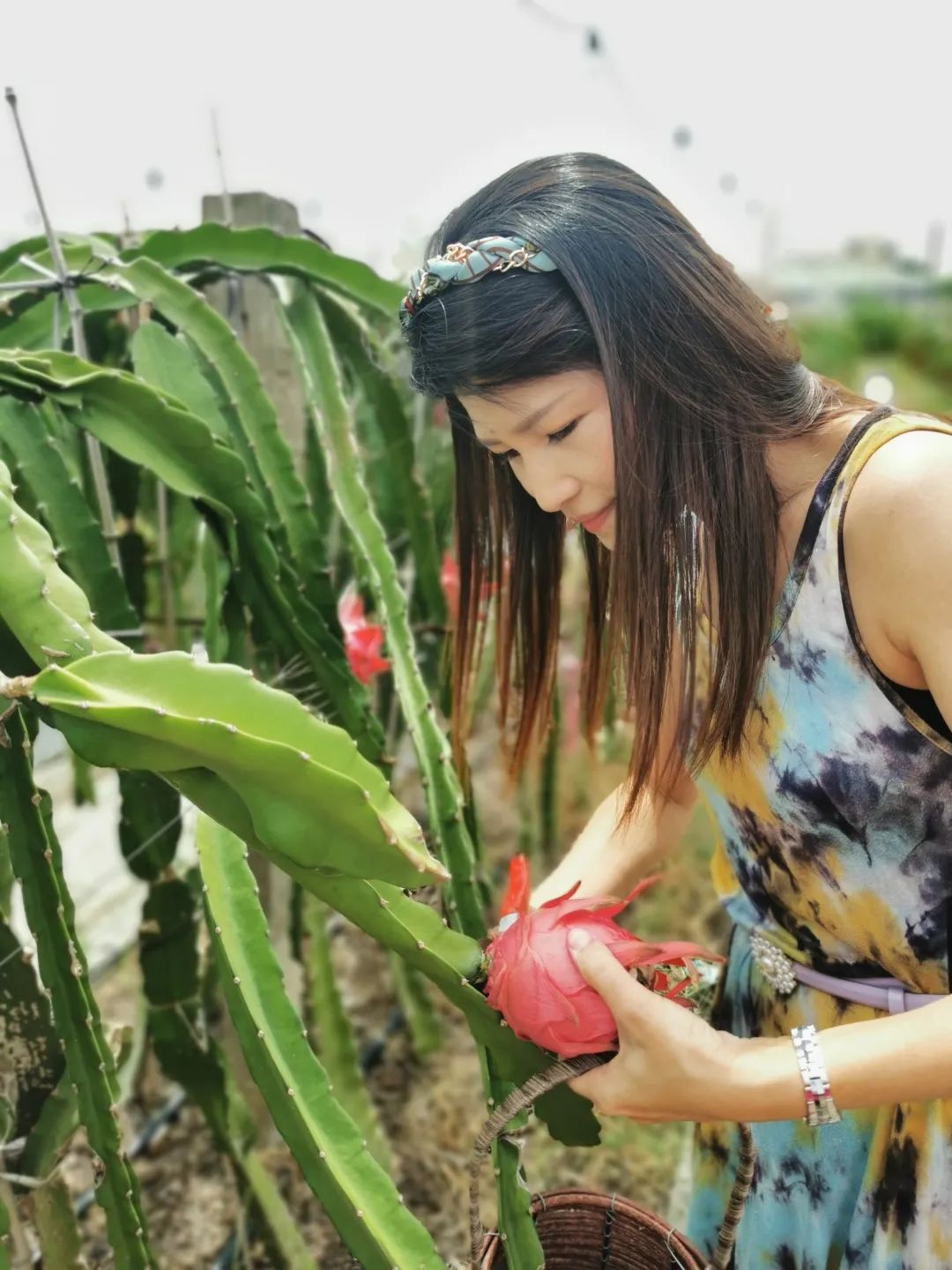 乐享旅程休闲区蓝鸢梦想 - Www.slyday.coM