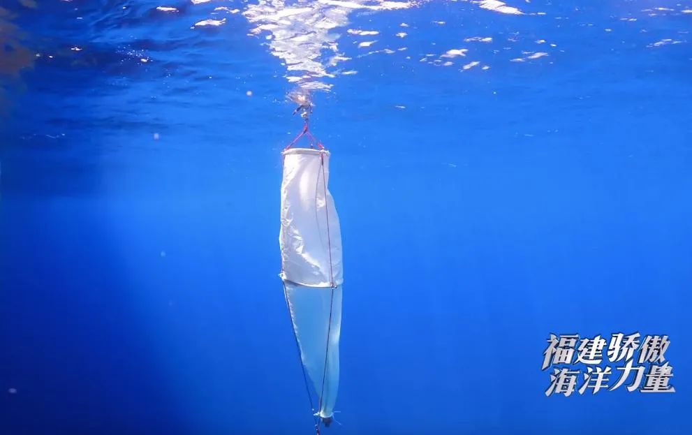 福建这所大学的“分校”开到了海上休闲区蓝鸢梦想 - Www.slyday.coM