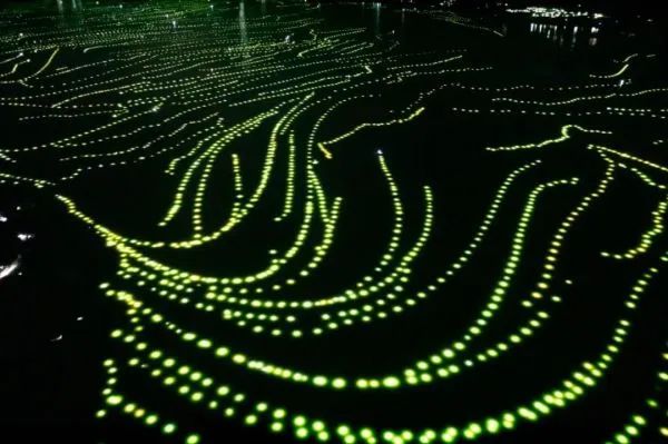 “舍不得的丽江”，到底有多舍不得休闲区蓝鸢梦想 - Www.slyday.coM