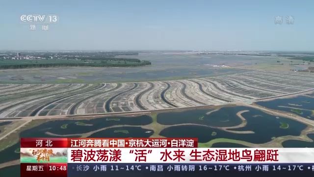 江河奔腾看中国丨白洋淀：碧波荡漾“活”水来 生态湿地鸟翩跹休闲区蓝鸢梦想 - Www.slyday.coM