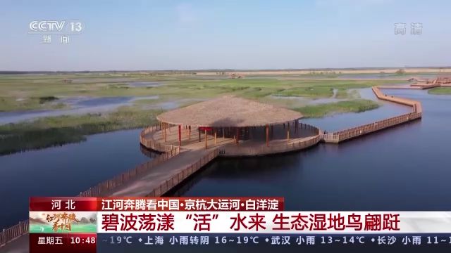 江河奔腾看中国丨白洋淀：碧波荡漾“活”水来 生态湿地鸟翩跹休闲区蓝鸢梦想 - Www.slyday.coM