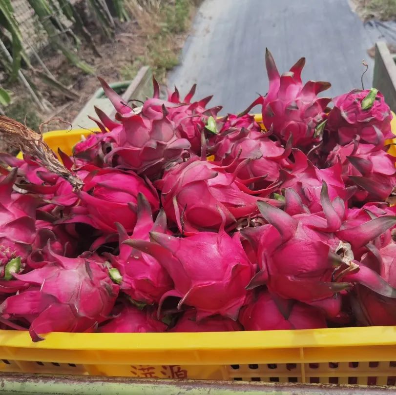 乐享旅程休闲区蓝鸢梦想 - Www.slyday.coM