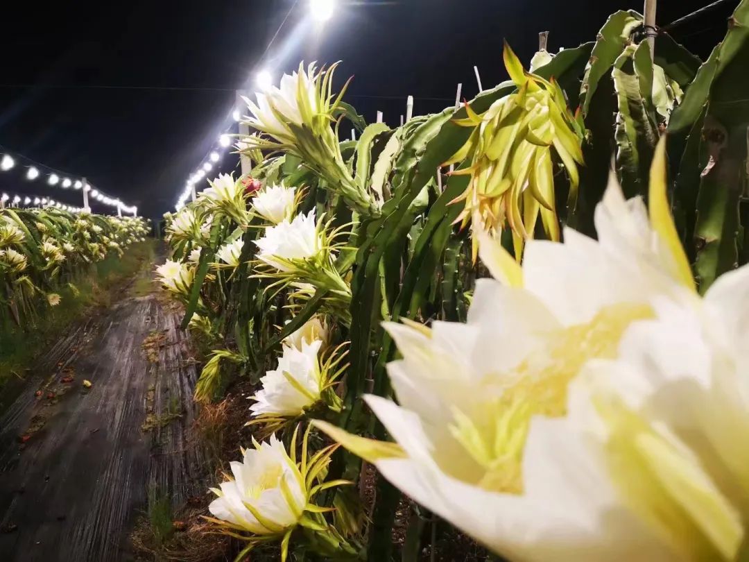 乐享旅程休闲区蓝鸢梦想 - Www.slyday.coM