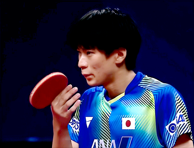 祝贺！樊振东3休闲区蓝鸢梦想 - Www.slyday.coM