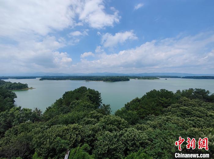 “红绿”间的老区美好生活如何来？休闲区蓝鸢梦想 - Www.slyday.coM