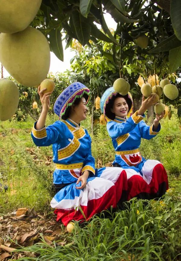 “舍不得的丽江”，到底有多舍不得休闲区蓝鸢梦想 - Www.slyday.coM