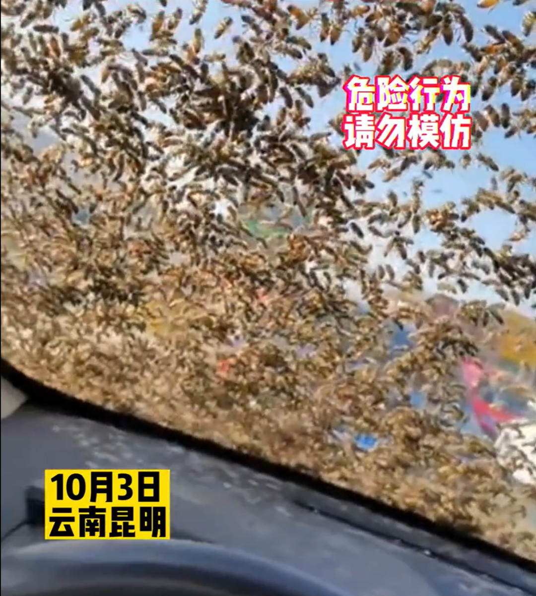 朋友一个动作，让男子怒骂交友不慎！休闲区蓝鸢梦想 - Www.slyday.coM