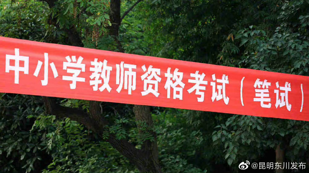 教资报考人数10年来翻66倍 专家：年轻人就业追求稳定休闲区蓝鸢梦想 - Www.slyday.coM