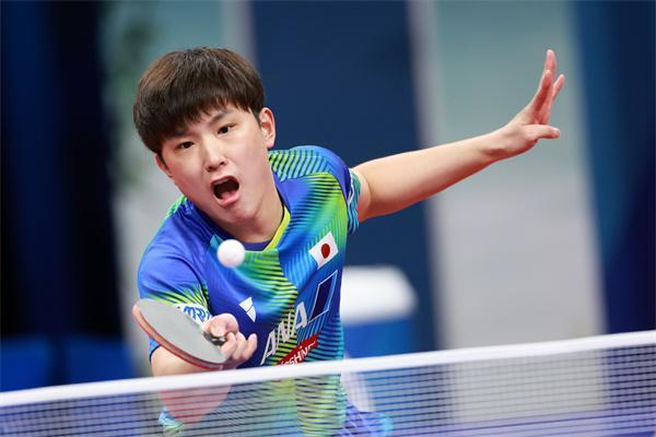 破案了!张本智和为何能逆转樊振东?一个小举动,让他在家乡露脸休闲区蓝鸢梦想 - Www.slyday.coM 破案了!张本智和为何能逆转樊振东?一个小举动,让他在家乡露脸休闲区蓝鸢梦想 - Www.slyday.coM