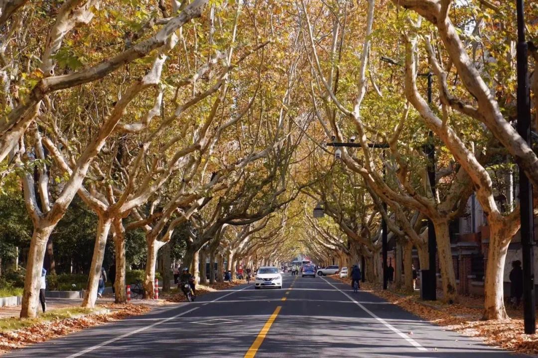 非凡十年休闲区蓝鸢梦想 - Www.slyday.coM