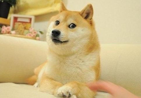 新表情将上线？腾讯注册新狗头图形商标休闲区蓝鸢梦想 - Www.slyday.coM