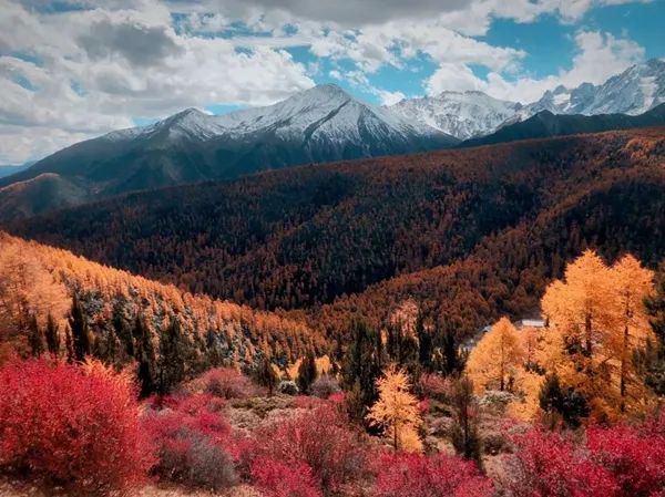 香格里拉的秋天：色彩的盛宴休闲区蓝鸢梦想 - Www.slyday.coM