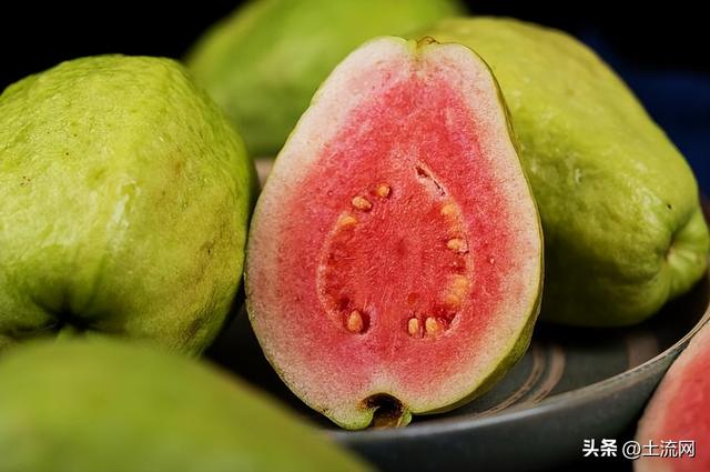 番石榴北方能种吗？具体是什么水果？和芭乐的区别是什么？休闲区蓝鸢梦想 - Www.slyday.coM