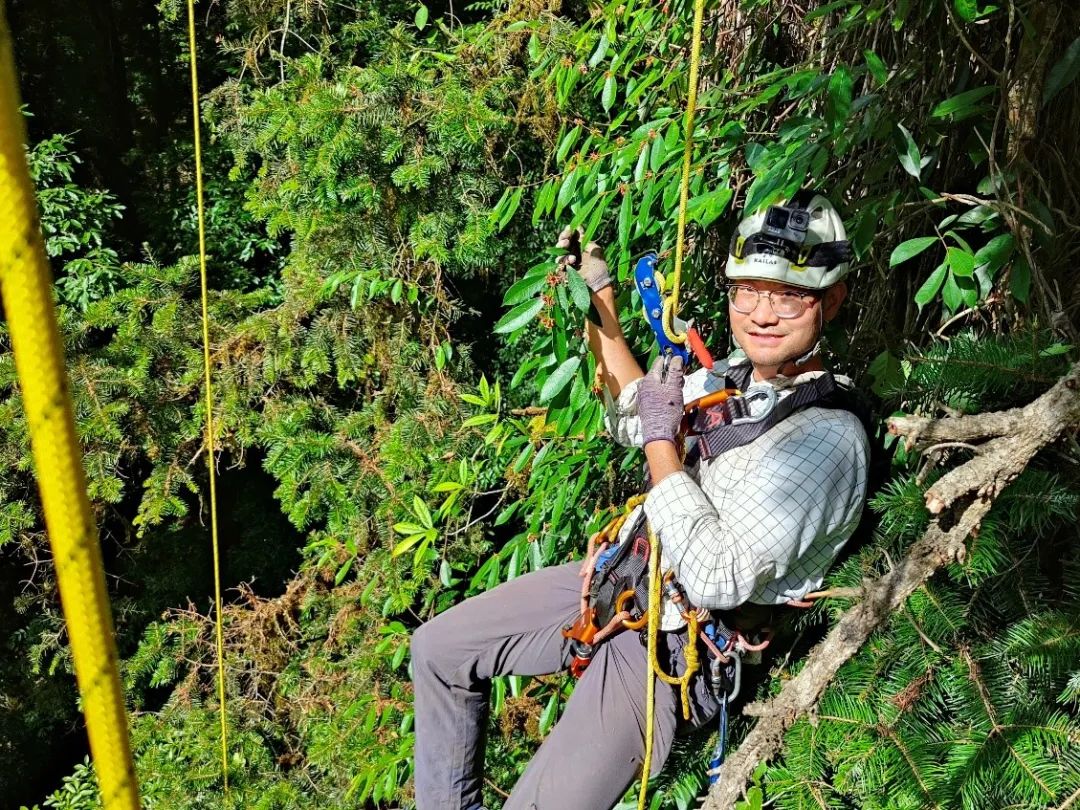 科考队员、中科院植物研究所王孜采集巨树上的植物材料。图源“野性中国”公众号