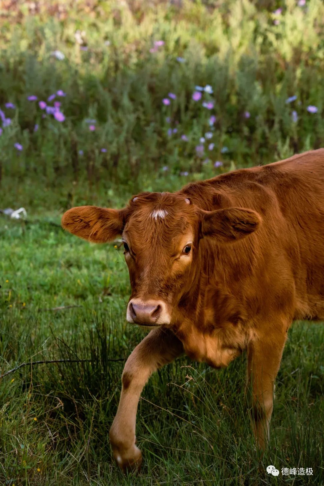 平淡，是你的眼 ~ 91.8美图秀，有意思的生活休闲区蓝鸢梦想 - Www.slyday.coM