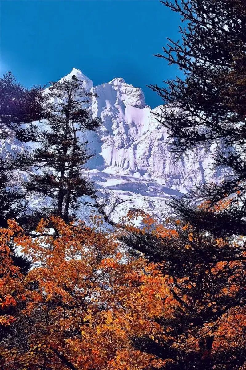 香格里拉的秋天：色彩的盛宴休闲区蓝鸢梦想 - Www.slyday.coM