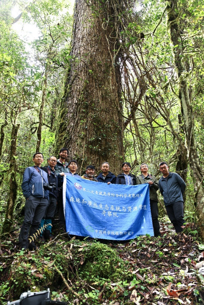 2022年5月,中国科学院植物研究所郭柯研究员团队巨树调查现场