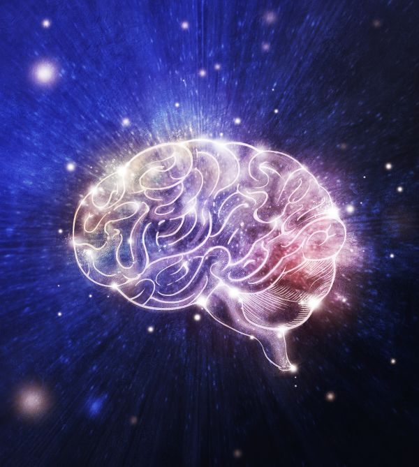 外媒:研究显示人在清醒时大脑也会"放空"|大脑|研究人员|精神_新浪