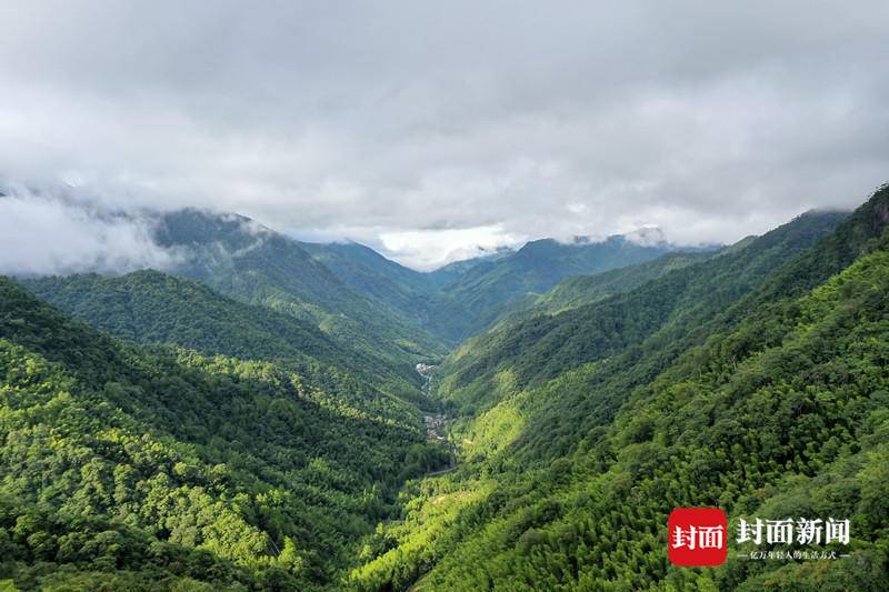 原生森林庇护多样生物，在家门口的国家公园瞧“茶岩岳色”｜公园中国·武夷山下休闲区蓝鸢梦想 - Www.slyday.coM